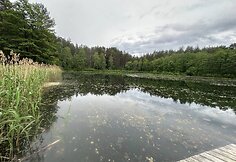 Dumblių niokojamas Žiežulio ežeras Varėnoje