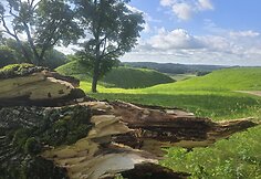 Per audrą stipriai nukentėjo Kernavės archeologinė vietovė