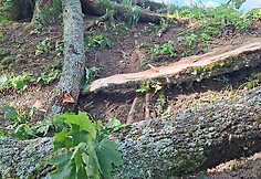 Per audrą stipriai nukentėjo Kernavės archeologinė vietovė