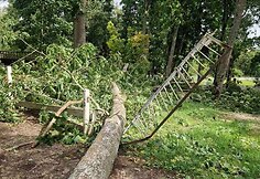 Audros nuniokotas Taujėnų dvaro parkas