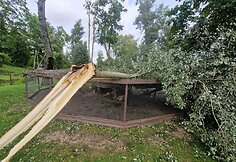 Audros nuniokotas Taujėnų dvaro parkas