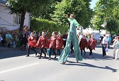 Molėtų gimtadienis