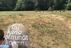 Žiūrų folkloro ansamblis