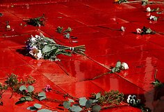Paryžiuje per protestą liejosi netikras kraujas