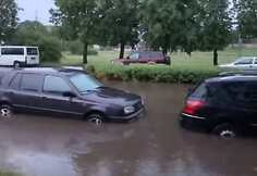 Liūtis Šiauliuose