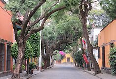 &bdquo;Baisusis&ldquo; Meksiko Coyoacan rajonas