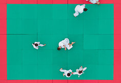 Saulius Žiūra. Šachas ir matas. „Pavingiuojam“ - aktyvaus laisvalaikio festivalis Vingio parke. Aikido treniruotė.
