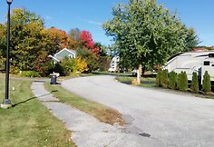 Auksinis pernyk&scaron;tis ruduo Meine