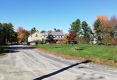 Auksinis pernyk&scaron;tis ruduo Meine