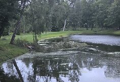 Šeštadienio audra nuniokojo Alantos miestelį Molėtų rajone