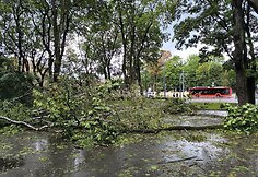 Po audros – nusiaubtas Ramybės parkas Kaune