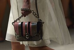 &bdquo;Prada&ldquo; rankinė