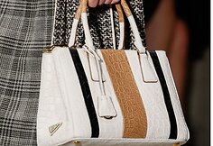 &bdquo;Prada&ldquo; rankinė