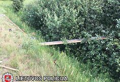 Vilniaus rajone automobilis trenkėsi į arklio traukiamą vežimą