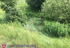 Vilniaus rajone automobilis trenkėsi į arklio traukiamą vežimą