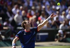 Andy Murray