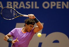 Rafaelis Nadalis