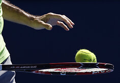 Rogeris Federere