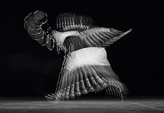 Jean-Yves Lemoigne „Black Rainbow“ nuotraukos