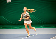 Kauno setas