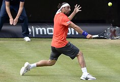 Marcosas Baghdatis