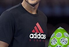 Jo-Wilfriedas Tsonga