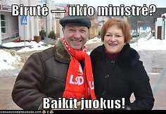 Birutė Vėsaitė sulaukė daug internautų dėmesio
