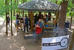 Oskaro Koršunovo teatras netradiciškai uždarė jubiliejinį sezoną