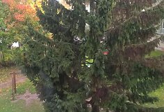 Būsima konteinerių vieta Tel&scaron;ių Sedos gatvėje