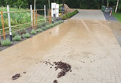 Užlietas kiemas