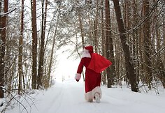 Kalėdų seneliai skuba pas Sužionių vaikus. 2018 m. Kalėdos