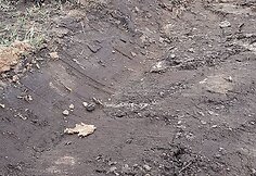87186603_2682191252009571_2047777317958189056_o