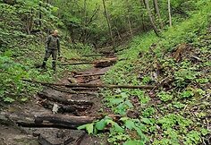 Pavilnių ir Verkių regioninių parkų darbuotojai užtveria takus kalnų dviratininkams.
