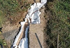 Užpurkštos angos šalia Respublikinės Šiaulių ligoninės, kur gyveno katės