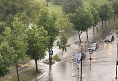 Liūtis skandina Alytų