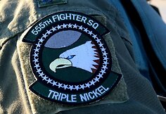 Naikintuvai F-16 ir kiti JAV lėktuvai jau Lenkijoje