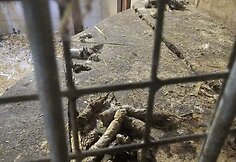 Klaipėdos zoologijos sodą tikrino aplinkosaugininkai
