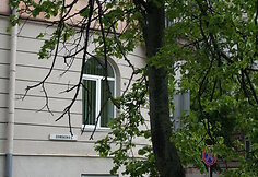 &Scaron;ermuk&scaron;nių g. medžiai