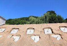 Darbai Kauno Savanorių prospekte