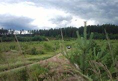 Vilniuje, Liepkalnio g., rastas sprogmuo