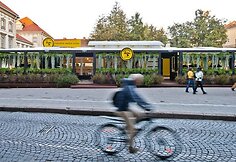 Lauko kavinė Vilniaus senamiestyje