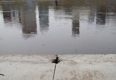 Neries pakrantės slūgstant vandeniui