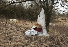 Vilniaus nakvynės namų apylinkės