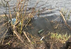 Vilniaus nakvynės namų apylinkės