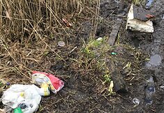 Vilniaus nakvynės namų apylinkės