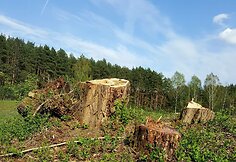 Karolini&scaron;kių lietaus nuotekų valykla