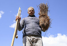 Sodyboje &bdquo;Grikucis&ldquo;