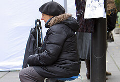 „Derliaus šventė 2013“