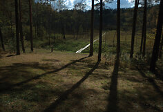 Take Bijotų-&Scaron;irvinto mi&scaron;kais