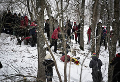 „Halls Winter Rally 2013“